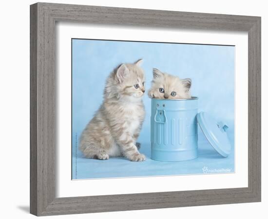 Mitzy & Lizzy-Rachael Hale-Framed Art Print