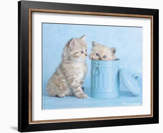 Mitzy & Lizzy-Rachael Hale-Framed Art Print