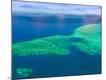 Premium Photographic Print