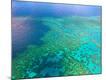 Premium Photographic Print
