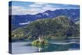 Stretched Canvas Print