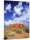 Premium Photographic Print