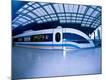 Premium Photographic Print