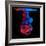 Mix of Colored Ink in Water Creating Abstract Shape, Isolated on Black Background-Jakub Gojda-Framed Photographic Print