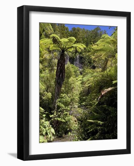 Mixed Ancient Forest-Bob Gibbons-Framed Photographic Print