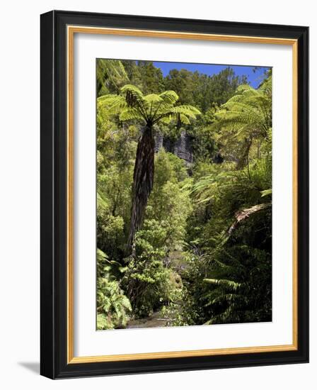 Mixed Ancient Forest-Bob Gibbons-Framed Photographic Print
