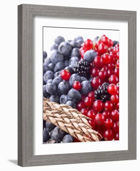 Mixed Berries and Ear of Spelt Wheat-Barbara Lutterbeck-Framed Photographic Print