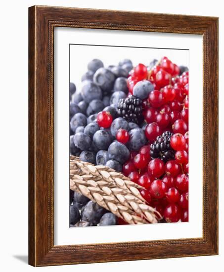 Mixed Berries and Ear of Spelt Wheat-Barbara Lutterbeck-Framed Photographic Print