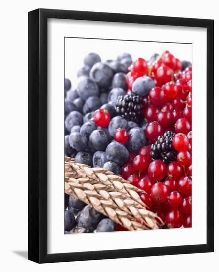 Mixed Berries and Ear of Spelt Wheat-Barbara Lutterbeck-Framed Photographic Print