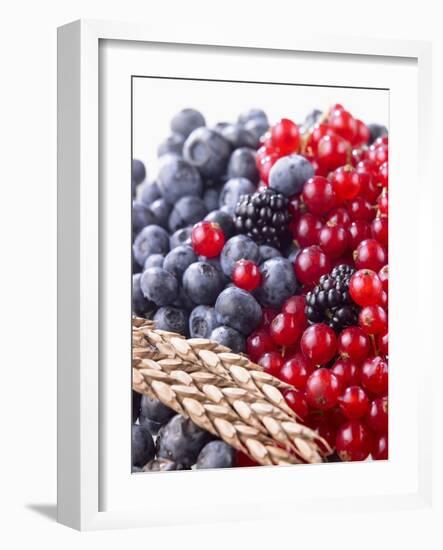 Mixed Berries and Ear of Spelt Wheat-Barbara Lutterbeck-Framed Photographic Print