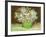 Mixed Bouquet, 1886-Vincent van Gogh-Framed Giclee Print