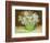 Mixed Bouquet, 1886-Vincent van Gogh-Framed Giclee Print