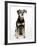 Mixed Breed Dog Sitting Down, One Ear Raised-Petra Wegner-Framed Photographic Print