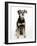 Mixed Breed Dog Sitting Down, One Ear Raised-Petra Wegner-Framed Photographic Print