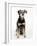 Mixed Breed Dog Sitting Down, One Ear Raised-Petra Wegner-Framed Photographic Print