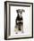 Mixed Breed Dog Sitting Down, One Ear Raised-Petra Wegner-Framed Photographic Print