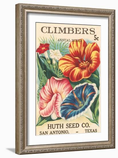 Mixed Climbers Seed Packet-null-Framed Art Print