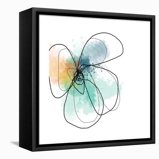 Mixed Color Petals-Jan Weiss-Framed Stretched Canvas