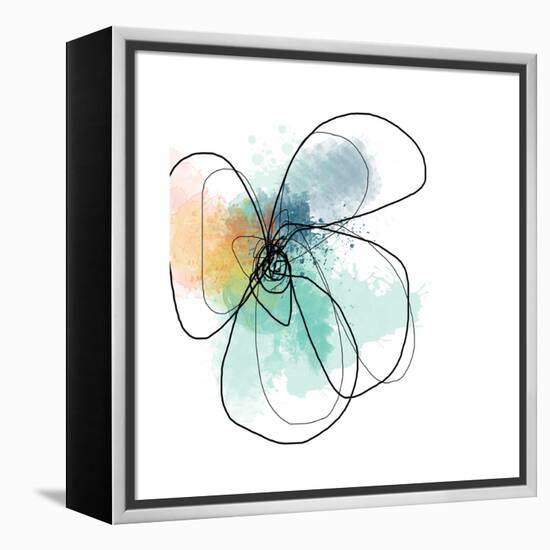 Mixed Color Petals-Jan Weiss-Framed Stretched Canvas