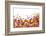Mixed Colorful Sweets close Up-egal-Framed Photographic Print