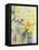 Mixed Daffodils in a Tank-Karen Armitage-Framed Premier Image Canvas