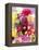 Mixed Dahlias-Marc O^ Finley-Framed Premier Image Canvas