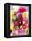 Mixed Dahlias-Marc O^ Finley-Framed Premier Image Canvas