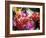 Mixed Dahlias-Marc O^ Finley-Framed Photographic Print