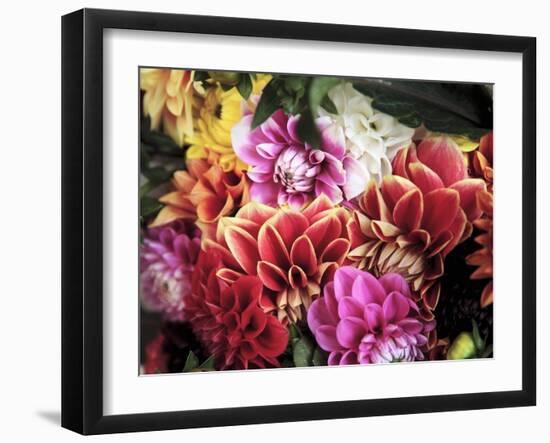 Mixed Dahlias-Marc O^ Finley-Framed Photographic Print