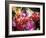 Mixed Dahlias-Marc O^ Finley-Framed Photographic Print