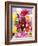 Mixed Dahlias-Marc O^ Finley-Framed Photographic Print