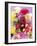 Mixed Dahlias-Marc O^ Finley-Framed Photographic Print