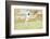 Mixed Doubles in the Grounds of a Stately Home-C.m. Brock-Framed Photographic Print