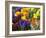 Mixed Flowering Bulbs: Tulips, Narcissi, Hyacinths-Elke Borkowski-Framed Photographic Print