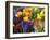 Mixed Flowering Bulbs: Tulips, Narcissi, Hyacinths-Elke Borkowski-Framed Photographic Print