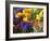 Mixed Flowering Bulbs: Tulips, Narcissi, Hyacinths-Elke Borkowski-Framed Photographic Print