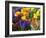 Mixed Flowering Bulbs: Tulips, Narcissi, Hyacinths-Elke Borkowski-Framed Photographic Print