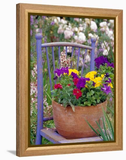 Mixed Flowers and Old Chair, Seattle, Washington, USA-Terry Eggers-Framed Premier Image Canvas