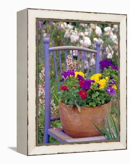 Mixed Flowers and Old Chair, Seattle, Washington, USA-Terry Eggers-Framed Premier Image Canvas