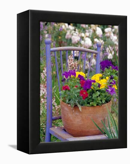 Mixed Flowers and Old Chair, Seattle, Washington, USA-Terry Eggers-Framed Premier Image Canvas