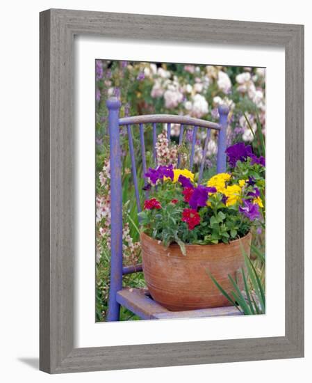 Mixed Flowers and Old Chair, Seattle, Washington, USA-Terry Eggers-Framed Photographic Print