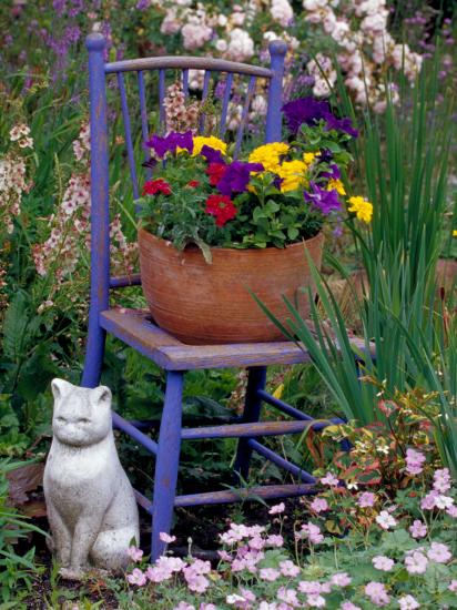 Mixed Flowers And Old Chair Seattle Washington Usa Photographic Print By Terry Eggers Art Com