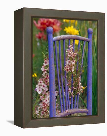 Mixed Flowers and Old Chair, Seattle, Washington, USA-Terry Eggers-Framed Premier Image Canvas