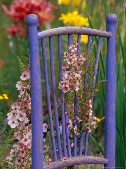 Mixed Flowers And Old Chair Seattle Washington Usa Photographic Print By Terry Eggers Art Com