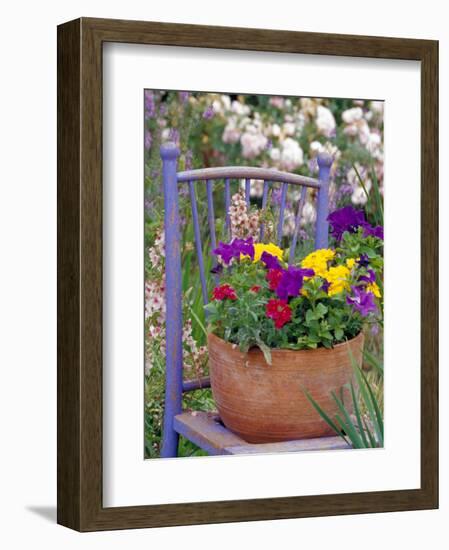 Mixed Flowers and Old Chair, Seattle, Washington, USA-Terry Eggers-Framed Photographic Print