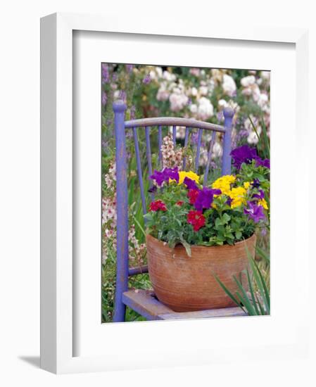 Mixed Flowers and Old Chair, Seattle, Washington, USA-Terry Eggers-Framed Photographic Print