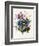 Mixed Flowers-Louise D'Orleans-Framed Giclee Print