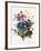 Mixed Flowers-Louise D'Orleans-Framed Giclee Print