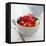 Mixed Fruit Dessert-David Munns-Framed Premier Image Canvas