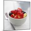 Mixed Fruit Dessert-David Munns-Mounted Premium Photographic Print